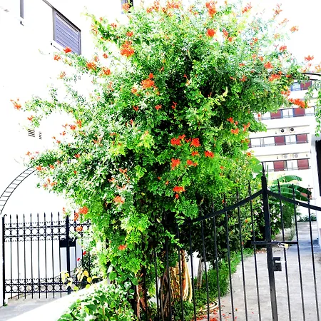 Aegeon - Adults Only