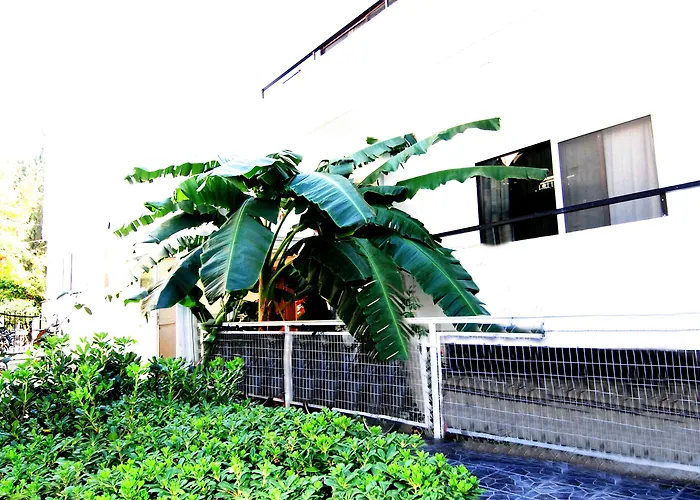 Otel Aegeon - Adults Only 3*